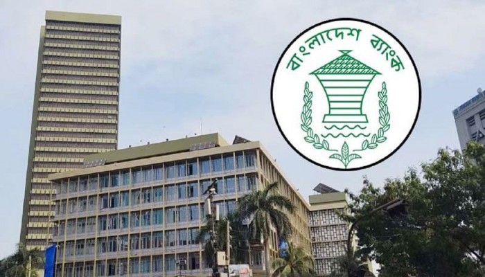 বাংলাদেশ ব্যাংকের প্রতিবেদন  ব্যাংক খাতে ঝুঁকিপূর্ণ সম্পদ সোয়া ৪ লাখ কোটি টাকা