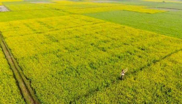 ফসলি জমি জবরদখল চেষ্টার অভিযোগ পাবনায়