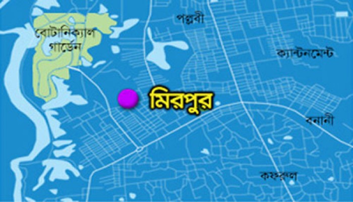 ঢাকাতে ১৪ ভাগ করে মিরপুর নিয়ন্ত্রণ করছে চার শীর্ষ সন্ত্রাসী
