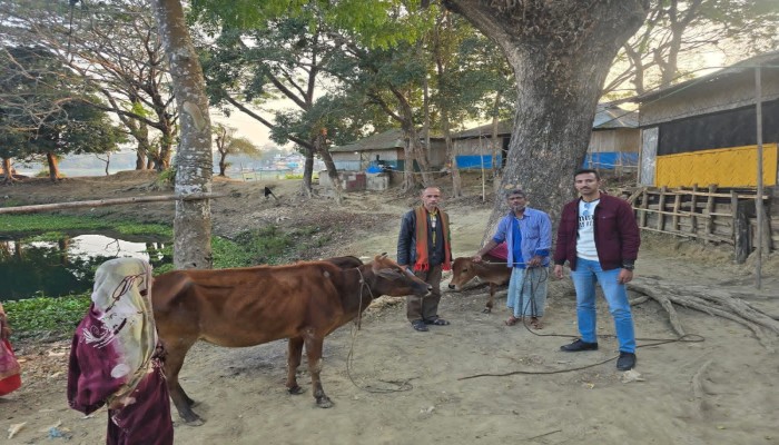 কাপ্তাই থানা পুলিশের সফল অভিযান: চুরি হওয়া ৩টি গরু উদ্ধার, মালিকের জিম্মায় হস্তান্তর