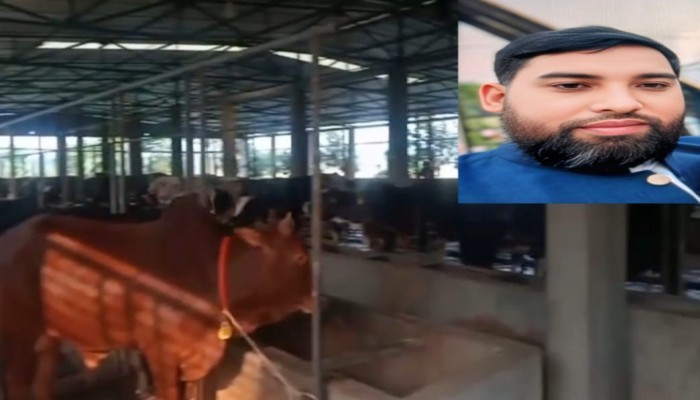 নোটিশ সার্ভার শফিকুল ইসলাম শত কোটি টাকার মালিক
