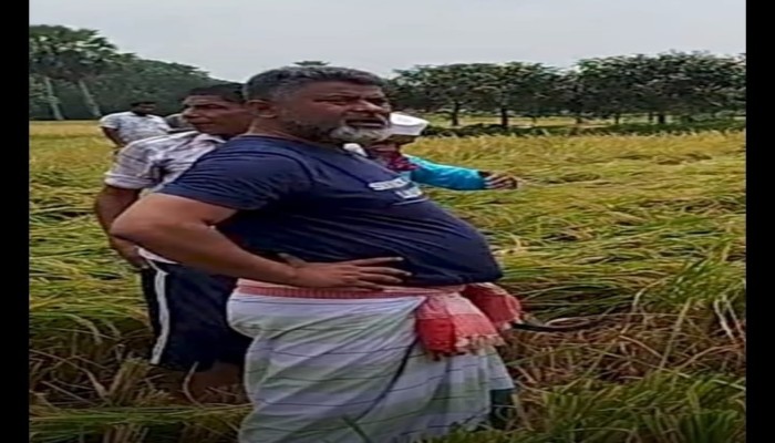নওগাঁয় কৃষকের ধান কেটে দিলেন কৃষক দলের কেন্দ্রীয় কমিটির যুগ্ম সাধারণ সম্পাদক এবং নওগাঁ ৩ (মহাদেবপুর-বদলগাছী) সংসদ সদস্য ফজলে হুদা বাবুল। তাঁকে পেয়ে কৃষকরা আবেগ আপ্লুত হয়ে পড়েন'"