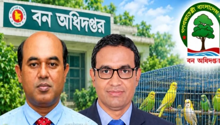 বন অধিদপ্তরে কালো বিড়ালের থাবা—প্রকল্পের নামে শত শত কোটি টাকা লোপাট!