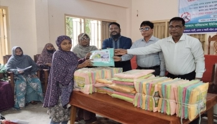 বালিয়াডাঙ্গায় ডেঙ্গু প্রতিরোধে সচেতনতামূলক সভা ও ৬০টি মশারি বিতরণ